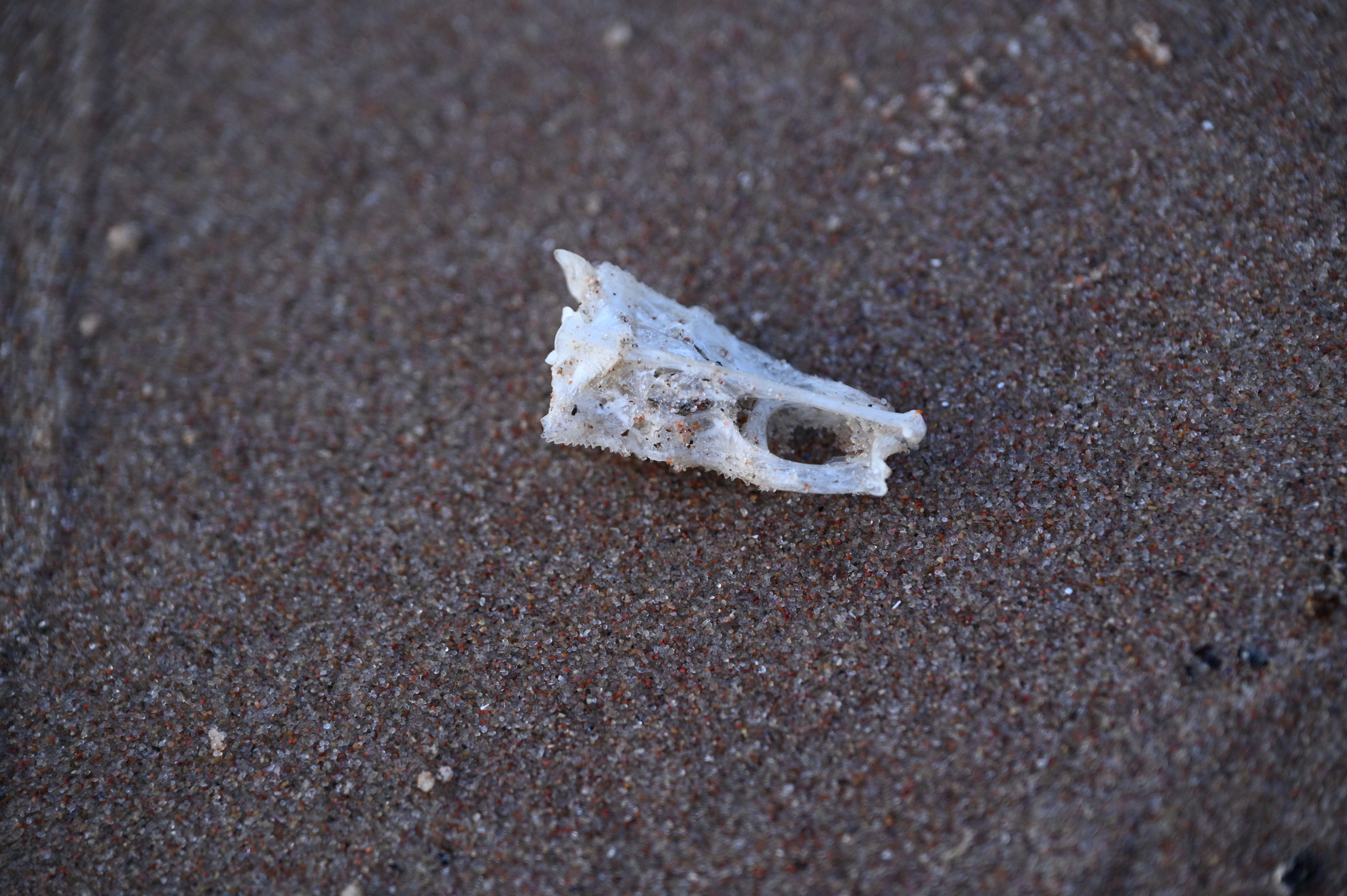 2025/07/09-14 - trip/DSC_0633.JPG